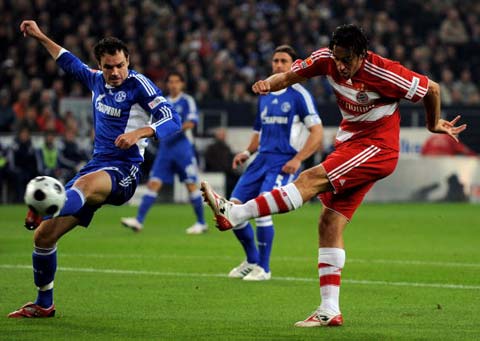 仿佛向大家 仿佛向大家